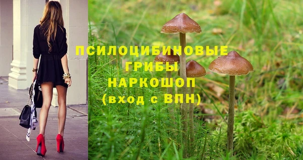 прущие крисы Арсеньев
