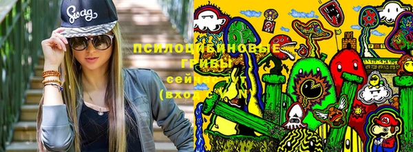 метадон Армянск
