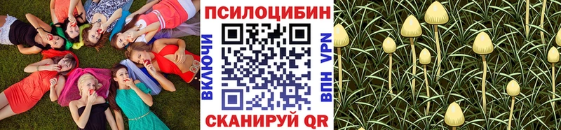 Псилоцибиновые грибы прущие грибы  Фёдоровский 
